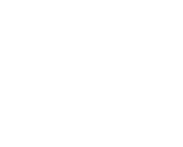 Observación de aves