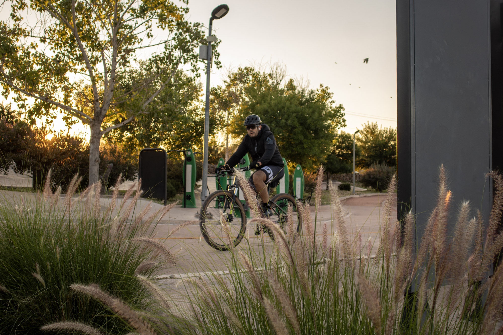 Ciclista en el Parque Rejón