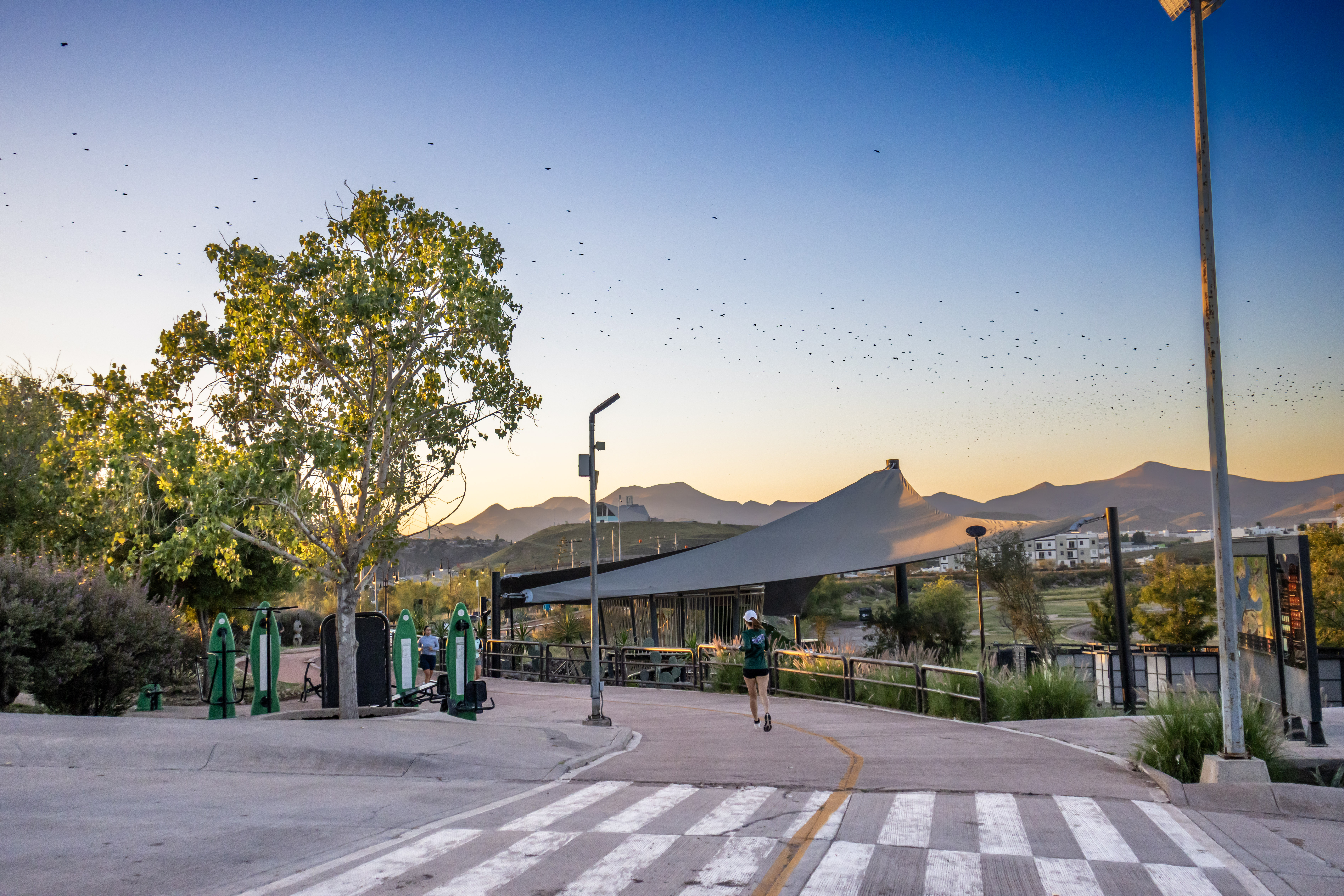 Área recreativa del Parque Rejón